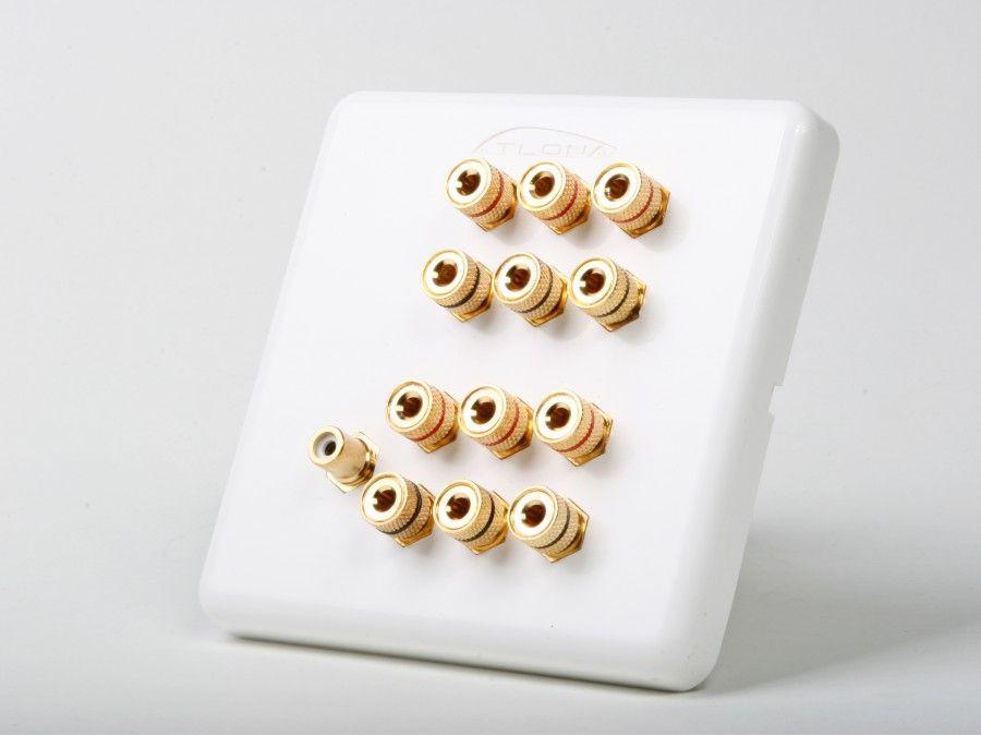 Atlona AT80120-RCA 6 Speaker Wall Plate With Subwoofer Input
