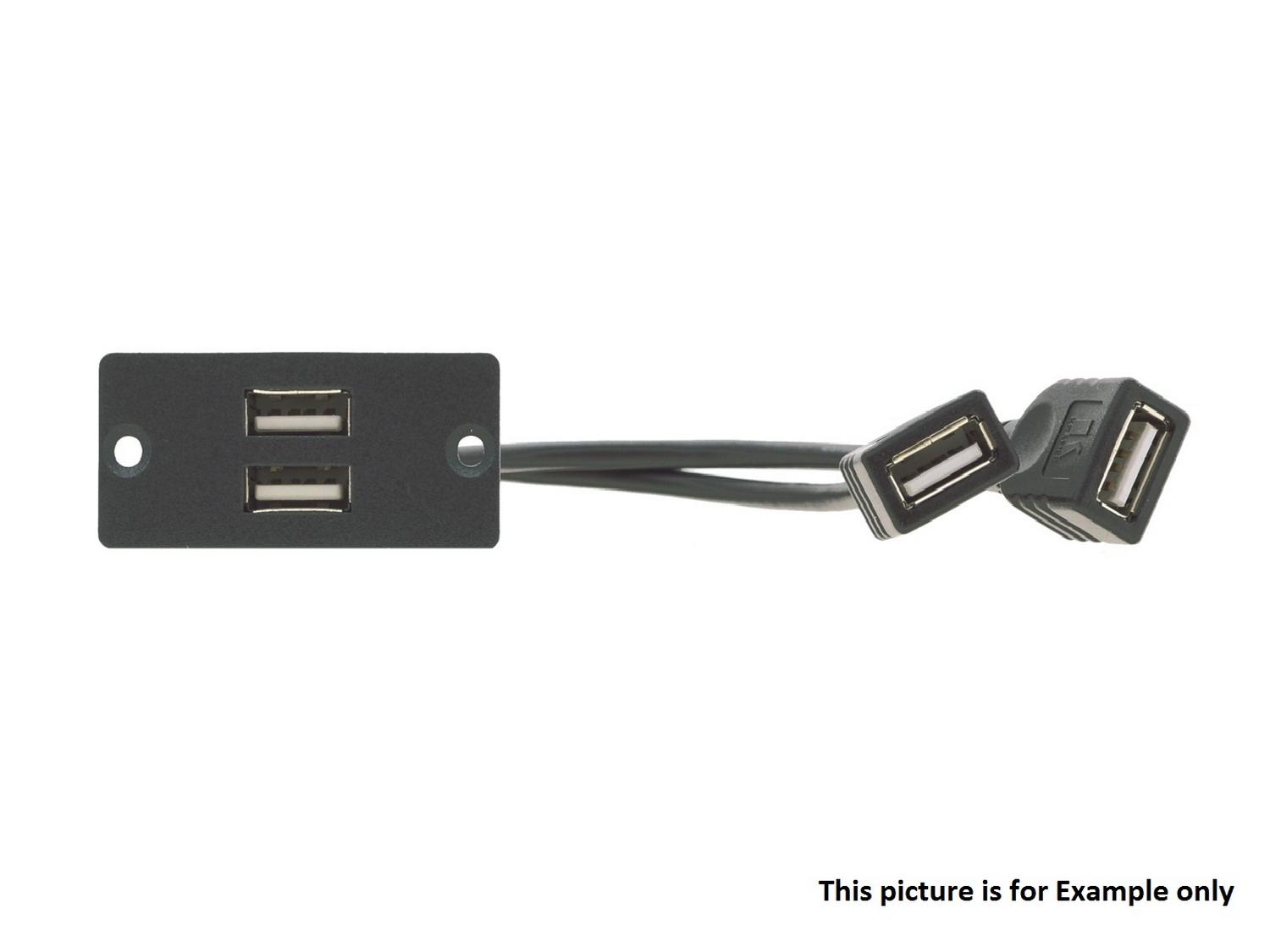 Kramer WU-2AA(B) 2 x USB 2.0 A/A Wall Plate Insert/Black
